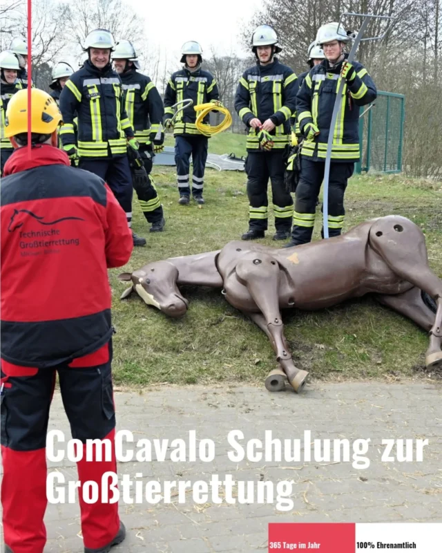 Letzte Woche Samstag nahmen wir an einer speziellen Schulung zum Thema Großtierrettung von der Firma ComCavalo @grosstierretter teil.
Das Training fand auf dem Gelände des Ausbildungszentrums @azluhmuehlen in Luhmühlen statt. 
Ziel der Ausbildung ist eine sichere, strukturierte und vor allem tierschonende Rettung.
Der Ausbildungstag begann am Vormittag mit einer theoretischen Schulung. Dabei wurden unter anderem das Verhalten von Tieren in Stresssituationen, die Gefahren für Einsatzkräfte sowie geeignete Einsatzstrategien behandelt. Auch das Zusammenspiel mit Tierhaltern und Veterinären spielte eine wichtige Rolle.
Nach einer Mittagspause im „Peerkieker“ folgte der praktische Teil der Ausbildung. 
Hier konnte das Erlernte direkt angewendet werden. 
Geübt wurde unter realistischen Bedingungen unter anderem die Rettung von Pferden aus Gräben sowie aus verunfallten Pferdeanhängern.
Zum Einsatz kam dabei ein lebensgroßer Pferdedummy mit rund 250 Kilogramm Gewicht. Dieser ermöglichte es, verschiedene Einsatzszenarien realitätsnah zu trainieren – auch unter schwierigen Bedingungen wie unebenem Gelände oder beengten Platzverhältnissen. Im Fokus standen dabei vor allem Teamarbeit, sicheres Arbeiten und der schonende Umgang mit dem Tier.
Unterstützt wurde die Ausbildung durch
speziell entwickelte Ausrüstung für die Großtierrettung, die bei den Übungen zum Einsatz kam. 
Unser Ziel ist es, künftig bei entsprechenden Einsatzlagen schnell und professionell auch überörtlich helfen zu können – zum Schutz von Mensch und Tier gleichermaßen.